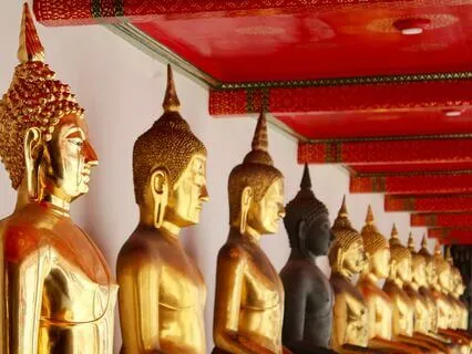 333Hz 33Hz 3Hz | Rediscovering Your Inner Power: Root Chakra