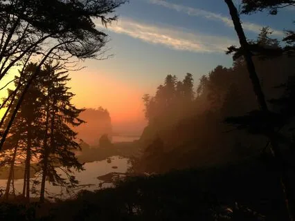 33Hz 528Hz Experience: Optimal Health | Body Mind Spirit