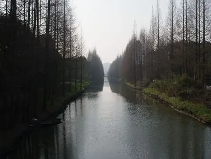 35|04 Replacement Soundscapes : Winter: Day