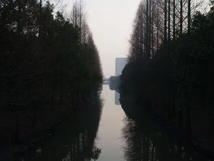 35|05 Replacement Soundscapes: Winter: Day