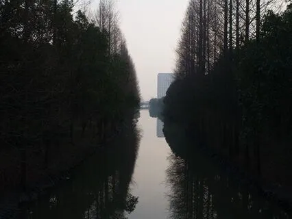 35|06 Replacement Soundscapes: Winter: Day