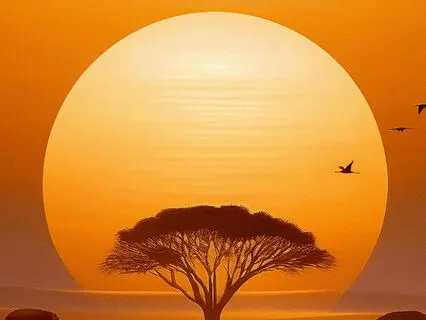 360 African Savanna Sound Bath