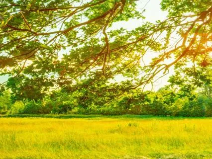 360 Degree Breathing To Soothe Sensations Of Pain