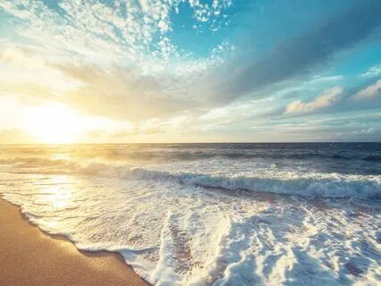 369, 333, 396, 639, 666, 963, 999 Hz Tuning Forks (Ocean)