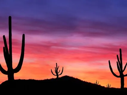 369, 333, 396, 639, 666, 963, 999 Hz Tuning Forks (Theta)