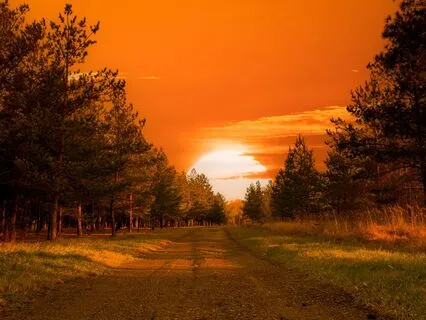 369 Hz + 333 Hz + 666 Hz + 999 Hz Tuning Forks (Delta)