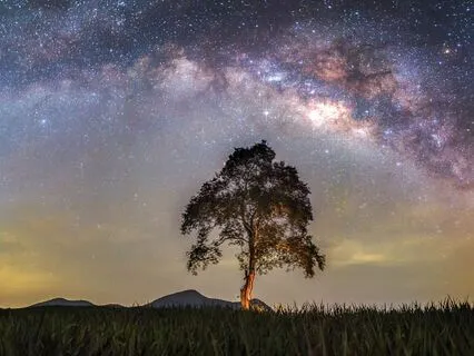 369 Hz + 333 Hz + 666 Hz + 999 Hz Tuning Forks with 7.83 Hz