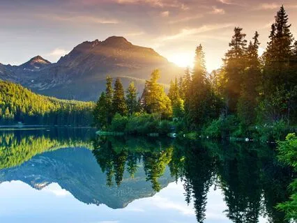 369 Hz + 396 Hz + 639 Hz + 963 Hz Tuning Forks (Gamma Waves)