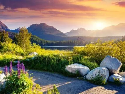 369 Hz Tuning Fork + 777 Hz + 888 Hz For Abundance (Gamma)