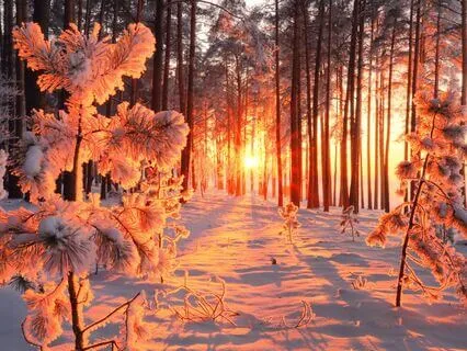 369 Hz Tuning Fork + 777 Hz + 888 Hz for Abundance (Theta)