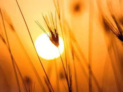 369 Hz Evening Sunset Relaxation And Meditation Frequencies