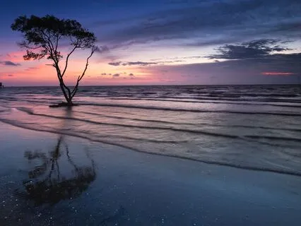 369Hz Night Sea Waves Relaxation For Deep Healing & Calm