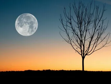 37 Minute Full Moon Yoga Nidra Nap