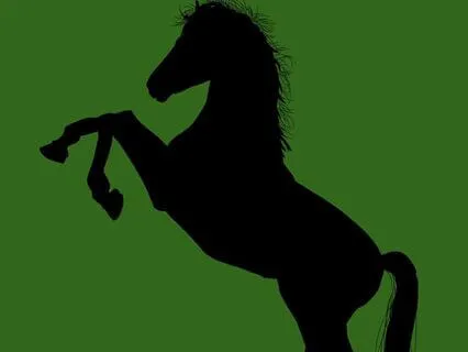 38 Black Beauty - Read By Stephanie Poppins