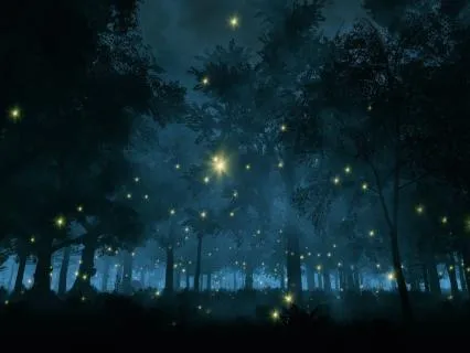 396 + 432 Tuning Forks + 888 For Financial Security (Alpha)