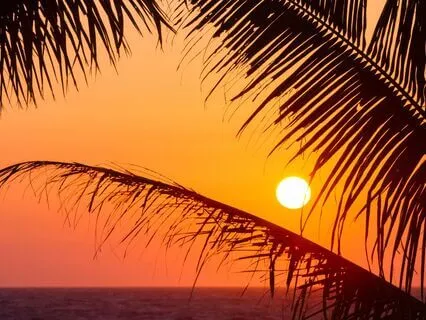 396 + 432 Tuning Forks For Financial Security | Delta