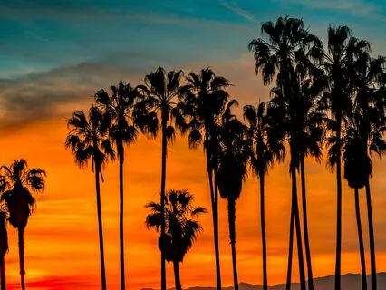 396 Hz + 432 Hz Tuning Forks + 888 Hz For Financial Security