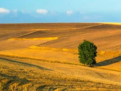 396 Hz Deep Relaxation for Inner Calm - Delta Waves • 10H