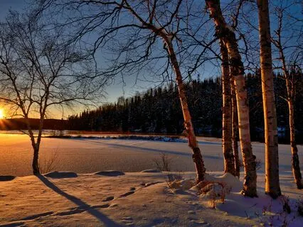 396 Hz Emotional Reset: Healing Tones For Renewal