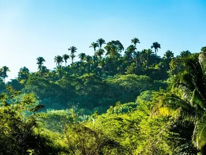 396 Hz Letting Go Of Guilt, Fear | Calming Ambience