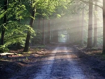 396Hz Liberating Guilt And Fear