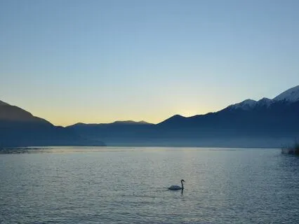 396 Hz | Listen To This And Let Go Of Fear And Anxiety