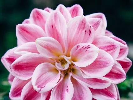 396 Hz - Music To Cleanse And Activate The First Chakra