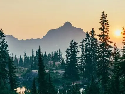 396 Hz Root Chakra Activation - Delta Waves