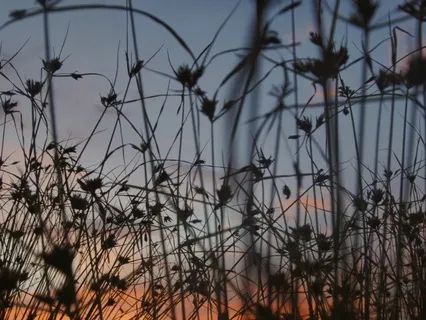 396 Hz Root Chakra Balancing