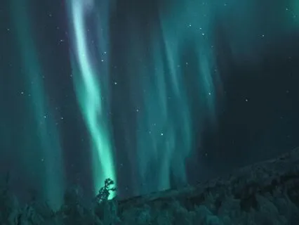 396 Hz Solfeggio Frequency - 30 Minutes Pure Tone Only