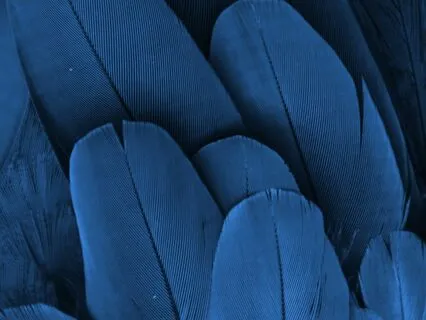 396 Hz Solfeggio Frequency - Release Negative Emotions