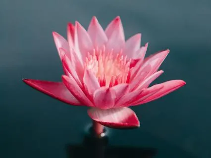 396 Hz (Solfeggio) — Softening Self-Blame