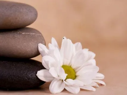 396 Hz Sound Healing For Trauma Relief & Regulation