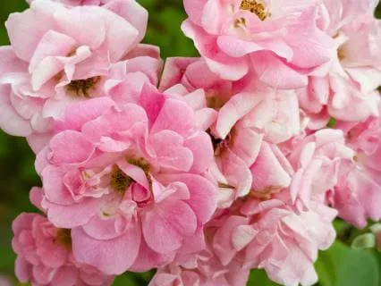 396 Hz - Understand And Overcome: Guilt and Fear-10 Hours