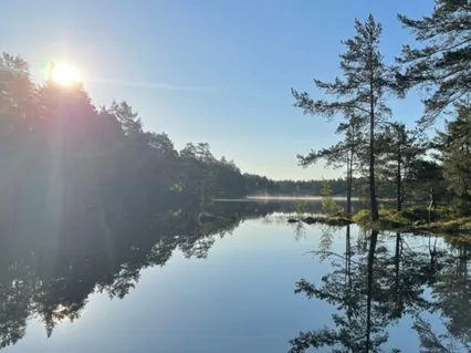 396hz Anxiety Relief. Solfeggio + Binaural beats - 15 Min