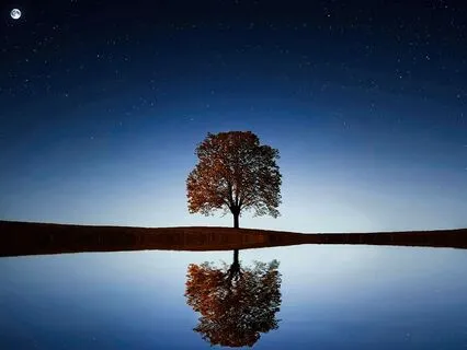 396 Hz Deep Sleep Healing And Meditation