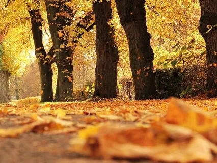 396Hz Healing Frequencies - Let Go - Dissolve Fear & Guilt