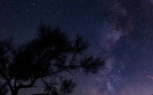 396Hz - Manifest Love, Joy & Harmony While Sleeping