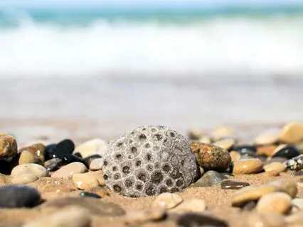 3A - Gentle Loving Kindness Meditation