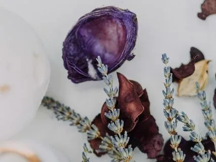 3B - Beginners Gratitude Practice