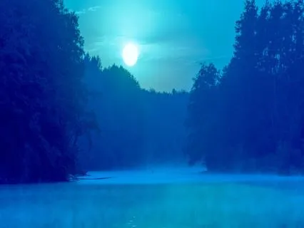 3Hz Delta Forest Music – Deep Sleep & Nervous System Calm