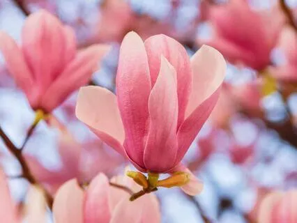 3Hz Delta Waves: Deep Sleep, Pain Relief & Cellular Healing