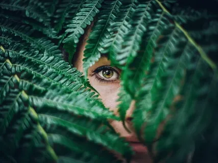 6th Chakra Third Eye Ajna Meditation