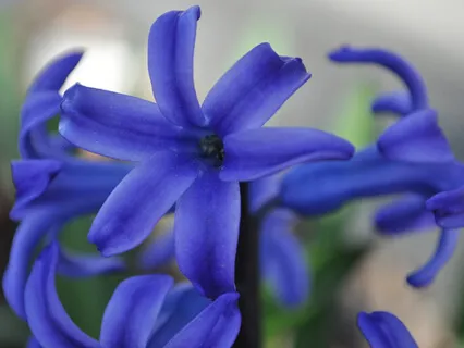 3rd Eye Chakra Crystal Bowl Meditation With 936Hz Tones