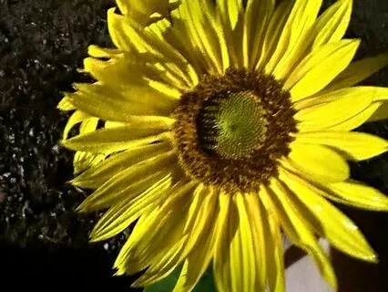 3rd Eye To Crown Chakra Meditation