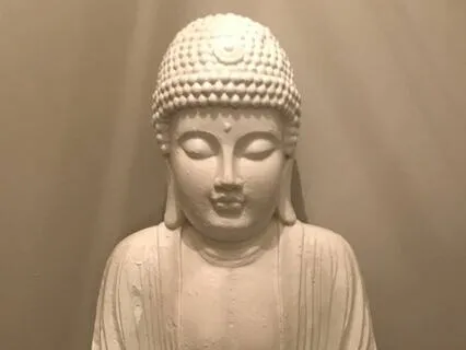 3rd Of 9 Tracks....Scanning And Deep Muscle