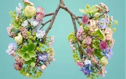 4-5-6 Breathwork - Finding Stillness And Peace (Level 1)