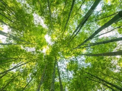 4-7-8 Breath | Daily Practice