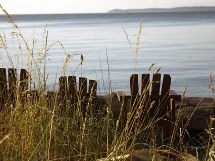 4-7-8 Breath Meditation