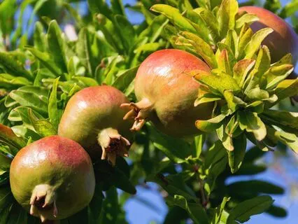 4-7-8 Breath Practice For Stress And Anxiety